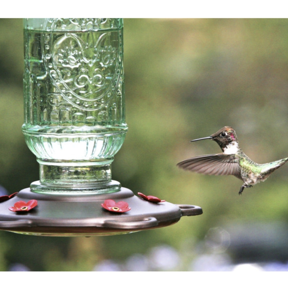 *NWT* Classic Brands More Birds Hummingbird Feeder